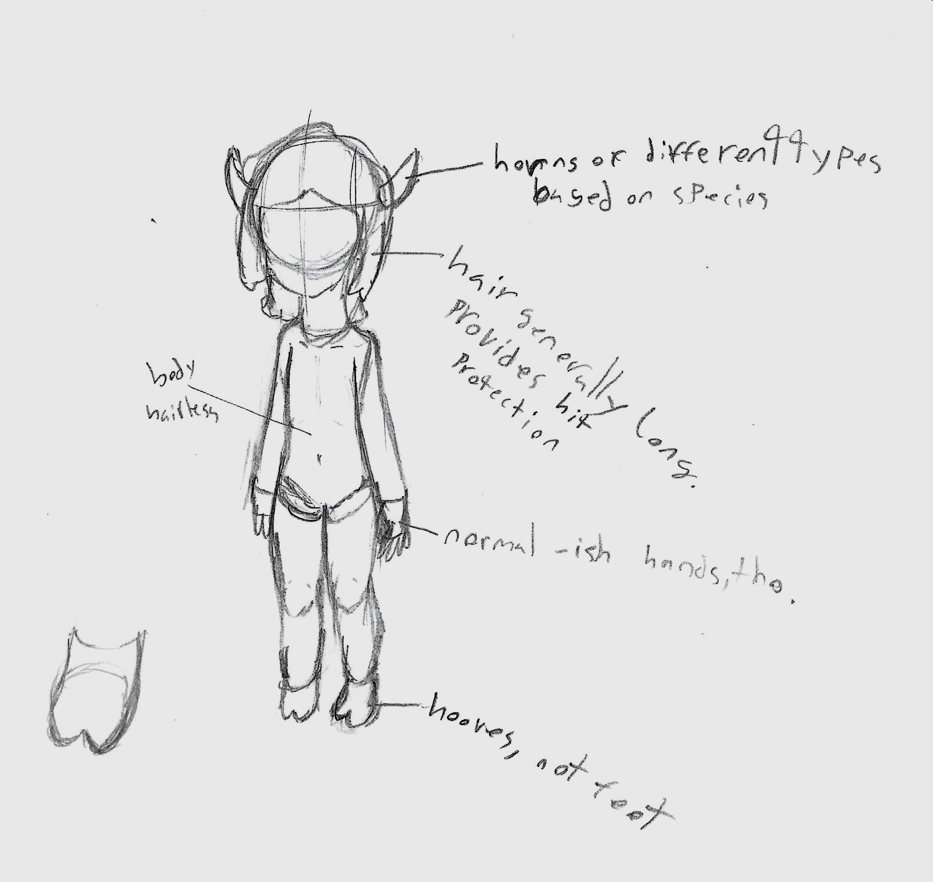 If you have a screenreader, can’t read my terrible handwriting, or i forgot to upload the image, this is what it says:
They have horns of different types, depending on species.
Their hair is generally long, and provides hit protection.
Their body is hairless.
They have hooves, not feet.
They have human(-ish) hands.
